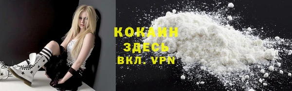 дживик Богородицк