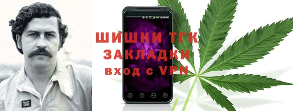 дживик Богданович